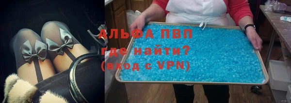 PSILOCYBIN Богородицк