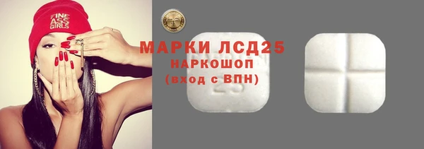 твердый Бородино