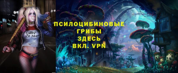 PSILOCYBIN Богородицк