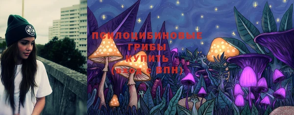 герыч Богородск