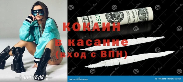 твердый Бородино