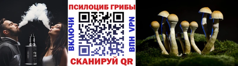Псилоцибиновые грибы мицелий Неман