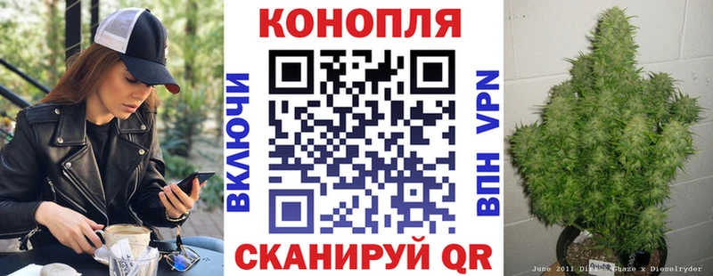 продажа наркотиков  Неман  kraken зеркало  Шишки марихуана сатива 